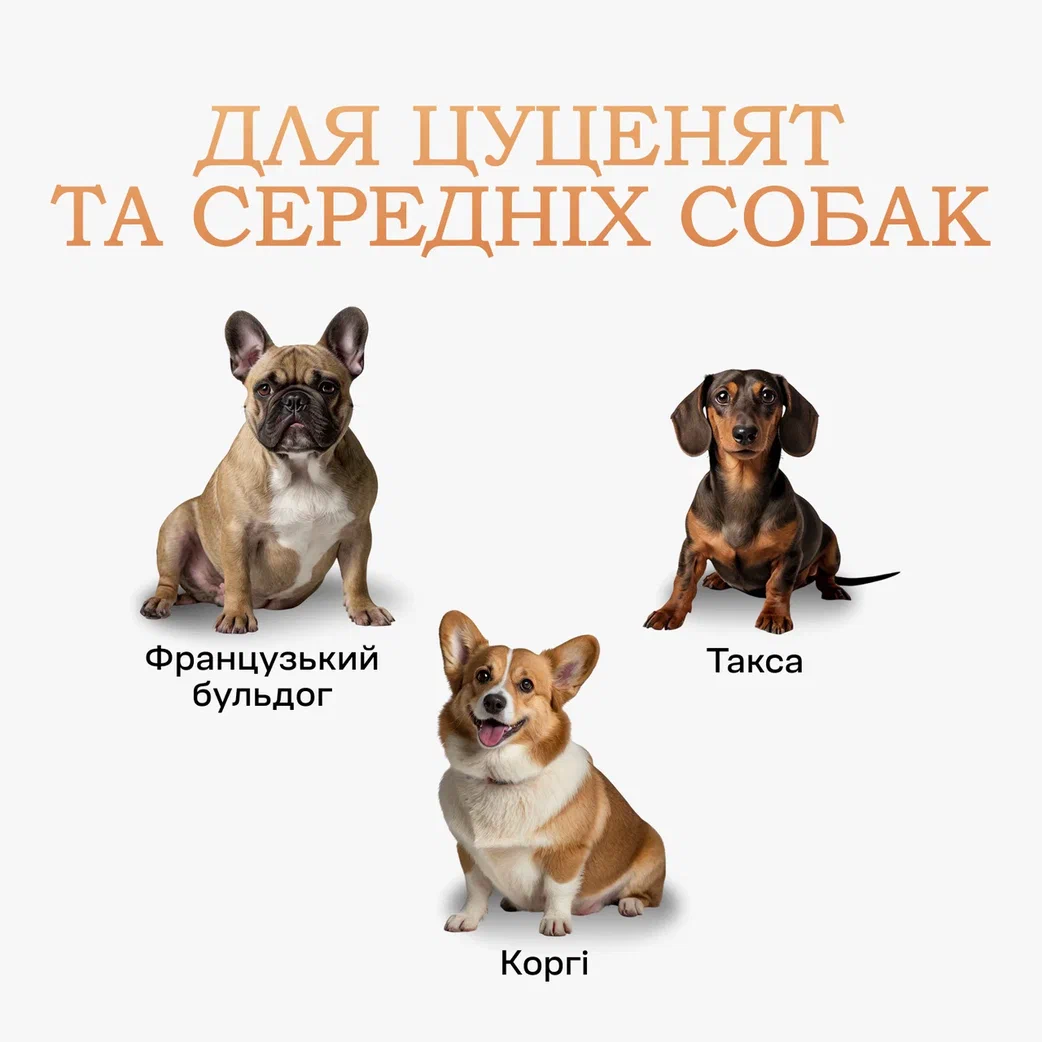 Туалет лоток для собак під пелюшку 90х60 см Сірий - фото 2