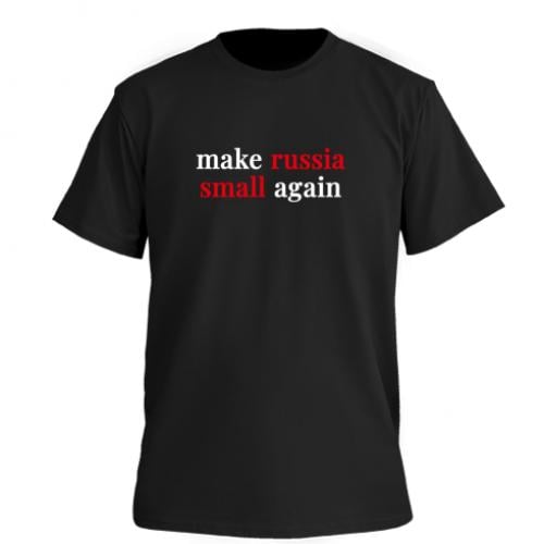 Футболка мужская Owi Premium make russia small again XXL Черный (18457221-2-208113-XXL)