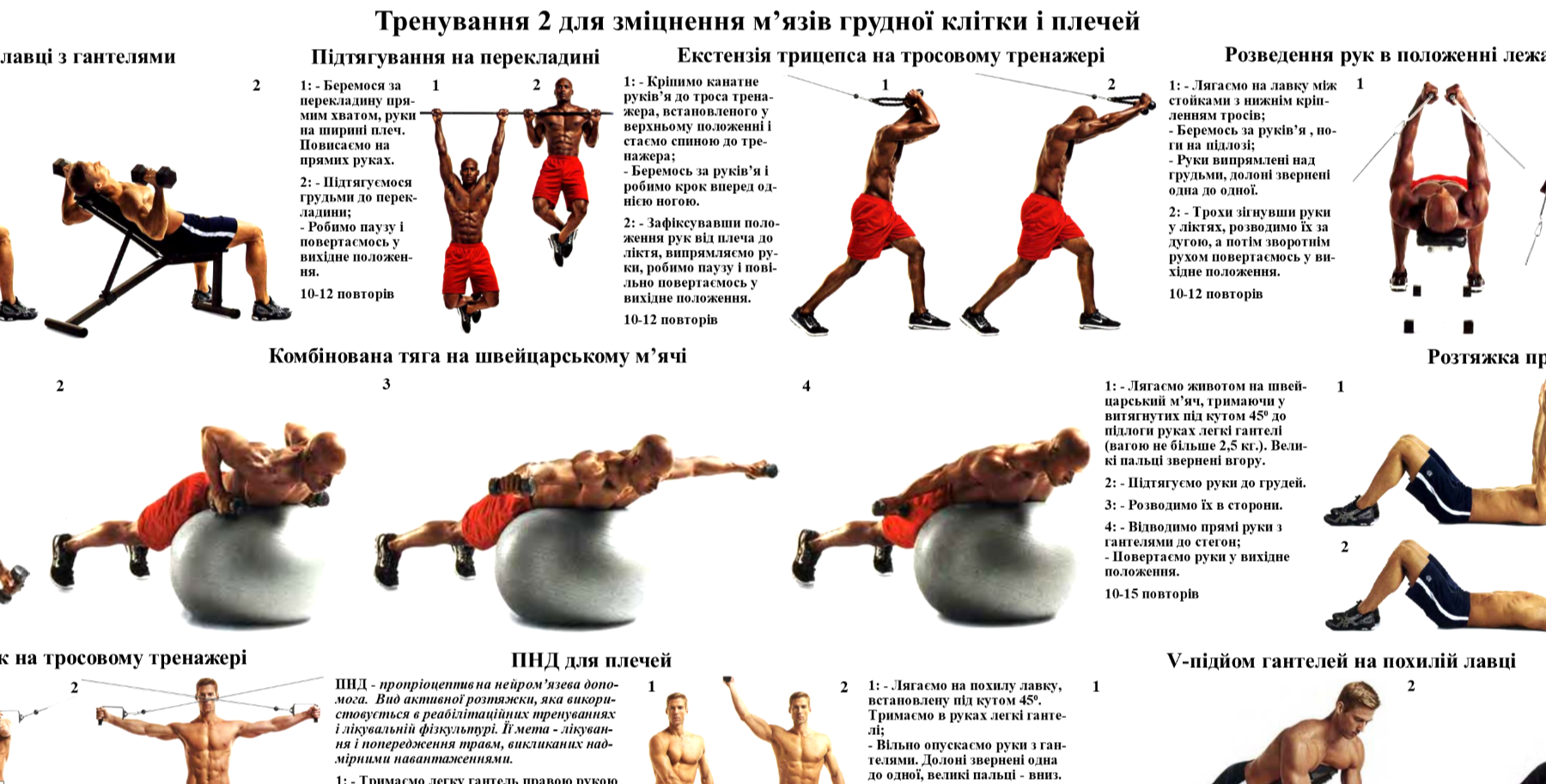 Плакат вправи для грудної клітки та плечей 67х86 см - фото 2