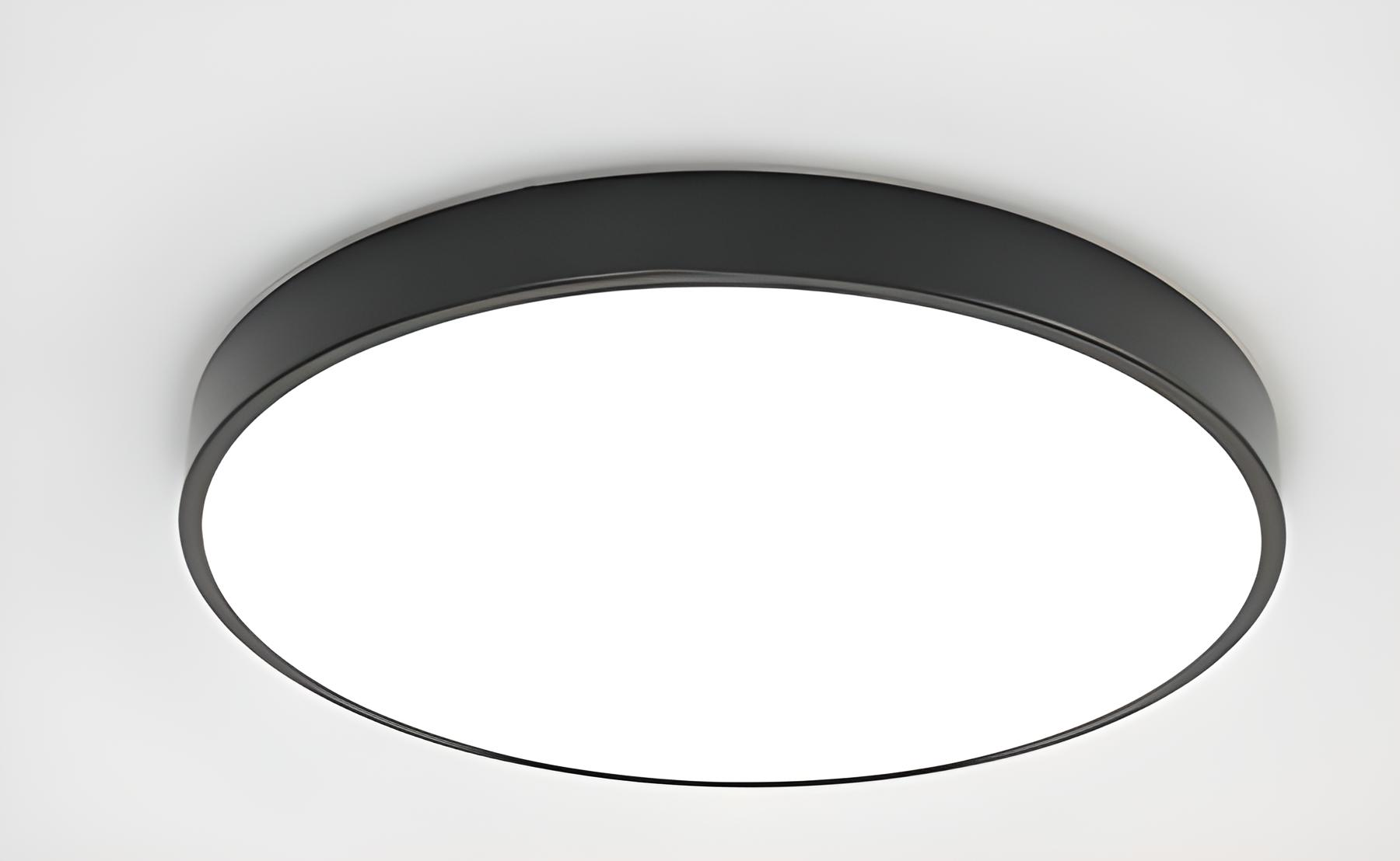 Люстра светодиодная Sirius Смарт LD 2661A-24W/2