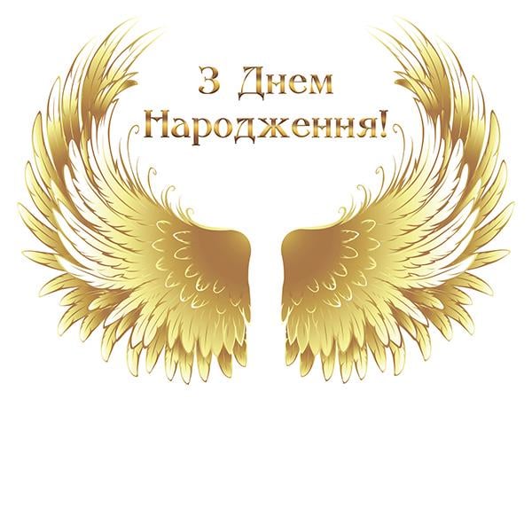 Фотозона Золотые крылья 74026/1 1,5х2 м