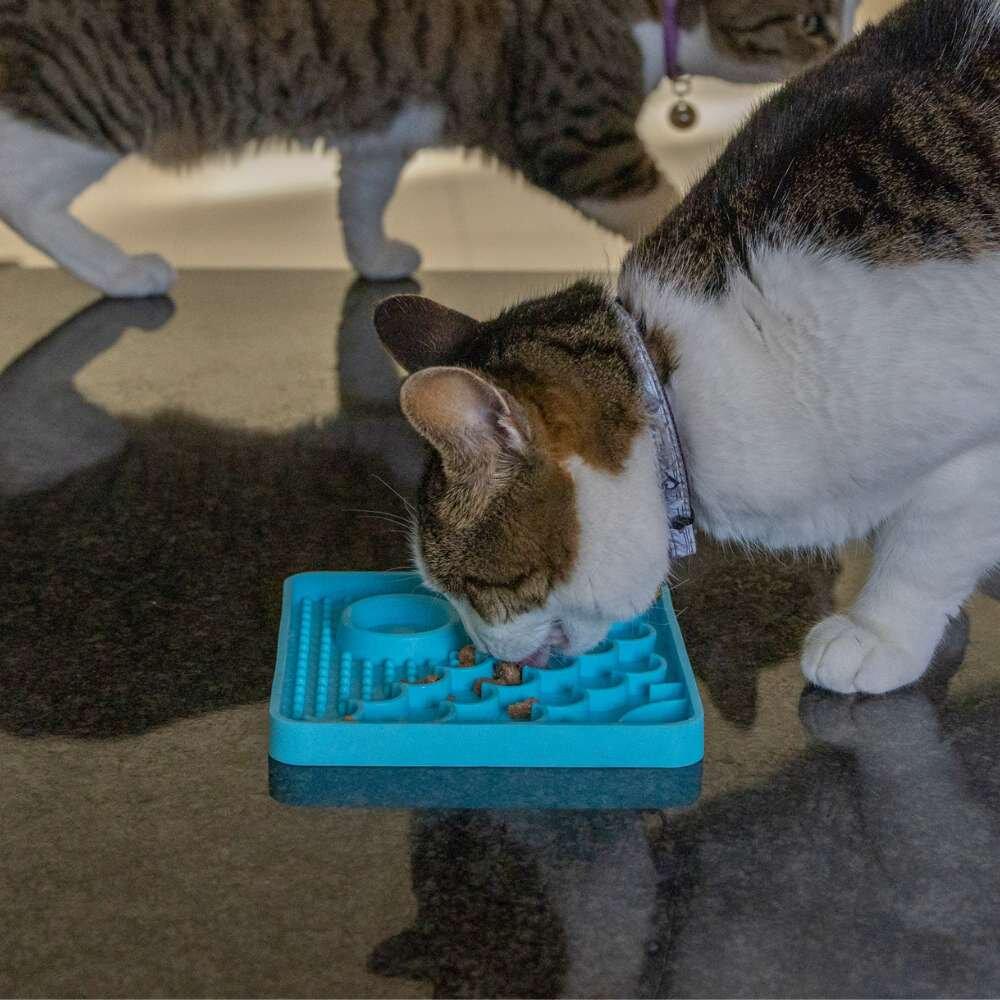 Килимок-антистрес лизальний для кошенят LickiMat Kitty Turquoise - фото 4 Килимок-антистрес лизальний для кошенят LickiMat Kitty Turquoise - фото 4