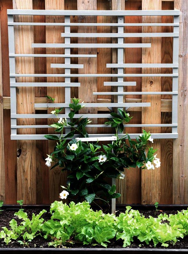 Опора для плетущихся из дерева Ратаи Маренго (ОДВ-002919)