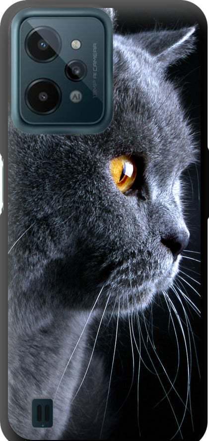 Чехол на Realme C31 Красивый кот (3038b-2593-42517)