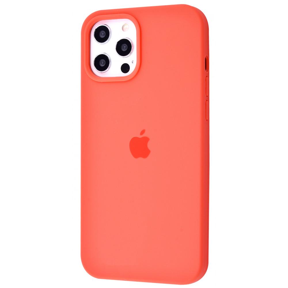 Чохол PRC Silicone case Full Cover для iPhone 12 Pro Max Pink Citrus