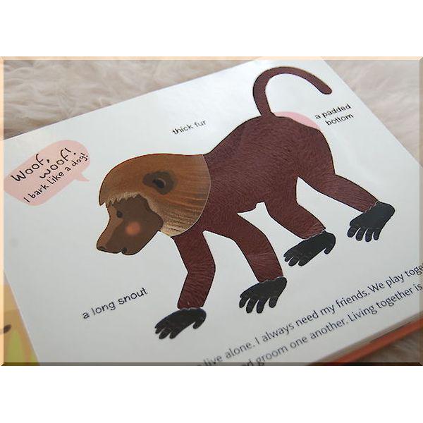 Книга "Touch and Explore Safari" Stephanie Babin/Xavier Deneux (ISBN:9782745981806) - фото 3 Книга "Touch and Explore Safari" Stephanie Babin/Xavier Deneux (ISBN:9782745981806) - фото 3