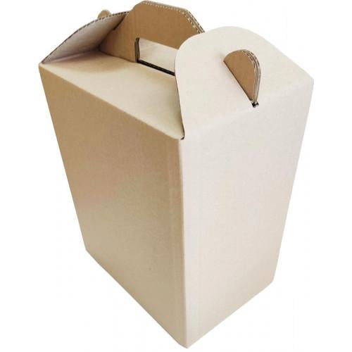 Коробка 250x170x300 Бурый (273)