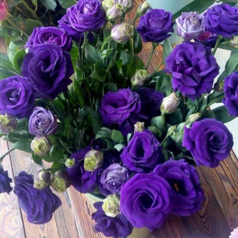 Лизиантус F1 Эустома микс цветов 5 семян - фото 2