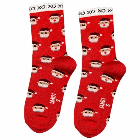 Шкарпетки утеплені Дід НО НО р. 41-45 (946340995111)