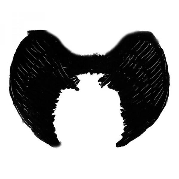 Декор на Хэллоуин Seta Крылья ангела большие (122-336BLK) Декор на Хэллоуин Seta Крылья ангела большие (122-336BLK)