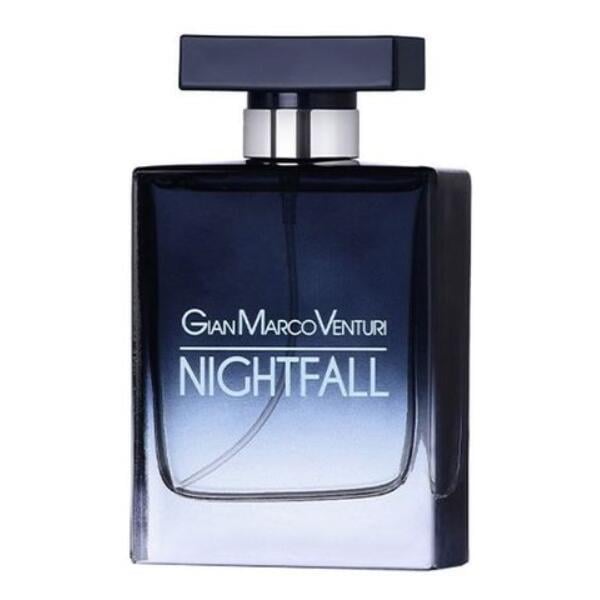 Парфюмированная вода для мужчин Gian Marco Venturi Nightfall 100 мл тестер (380513)