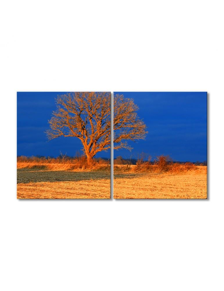 Картина модульная Природа дерево Африка 2 модуля 60x90 см