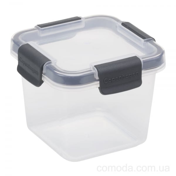 Контейнер пищевой Plast Team Copenhagen 0.43 л квадратный вакуумный