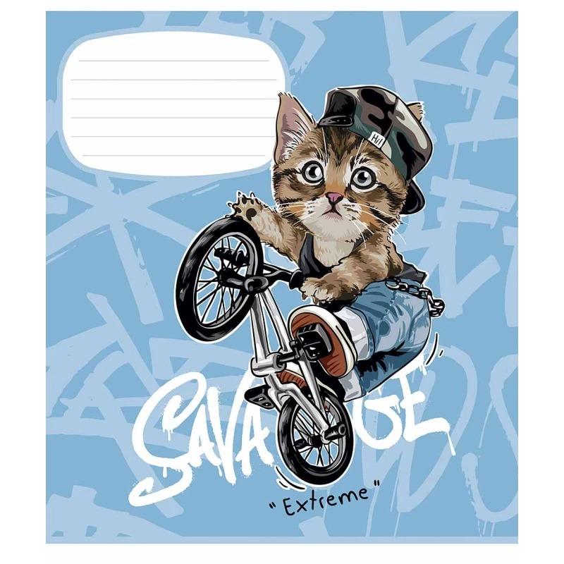 Школьная тетрадь в линейку Школярик 18 л. Разноцветный (NB-286-Z-429)