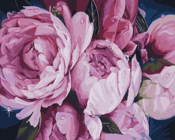 Картина за номерами Ідейка Квіти Ніжність півонів 40х50 см в термопакеті (KHO3116)