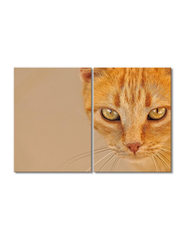 Картина модульная Рыжая хитрая кошка 2 модуля 90x135 см