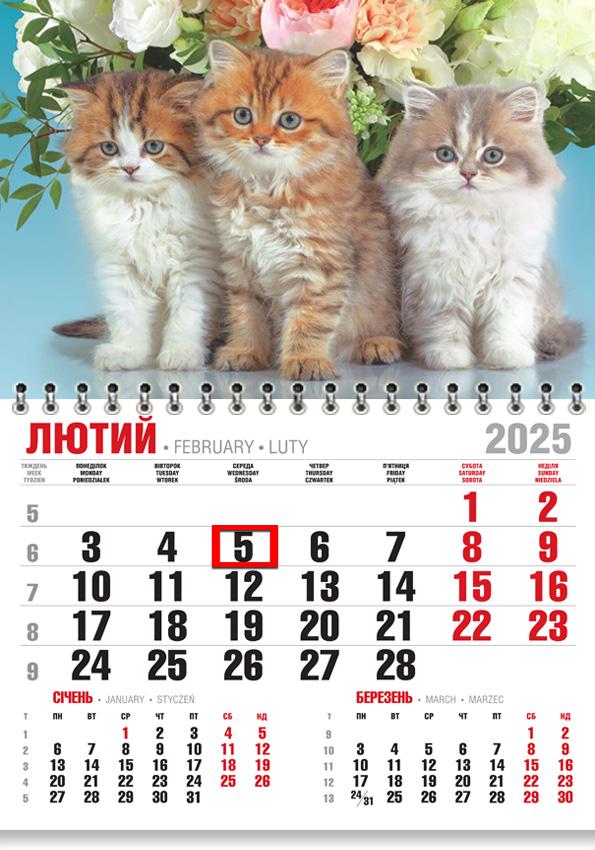 Календар на 2025 р. Економ Тріо котиків та букет квітів