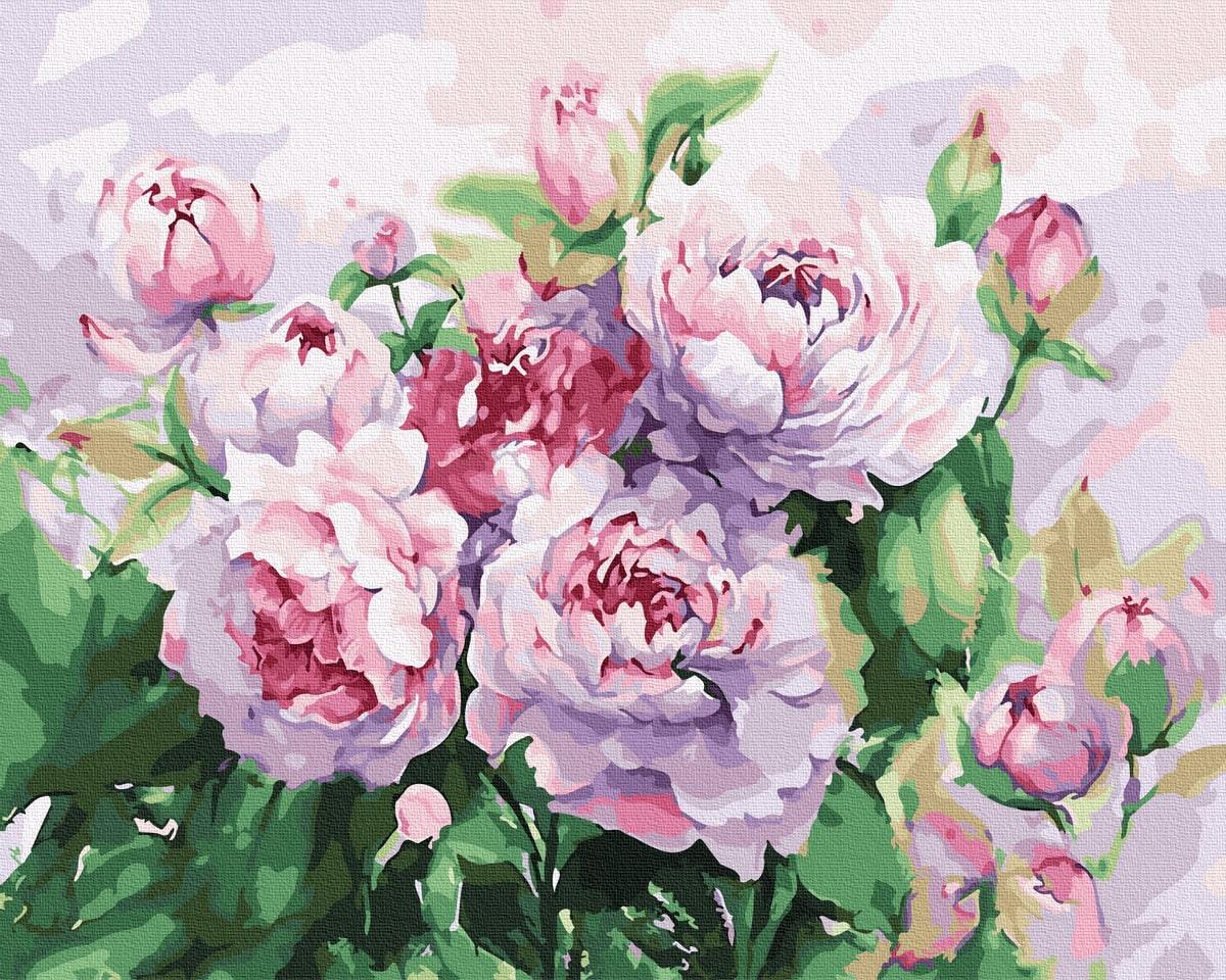 Картина за номерами Brushme GX34228 Півонії акварель 40x50 см (1416388241)