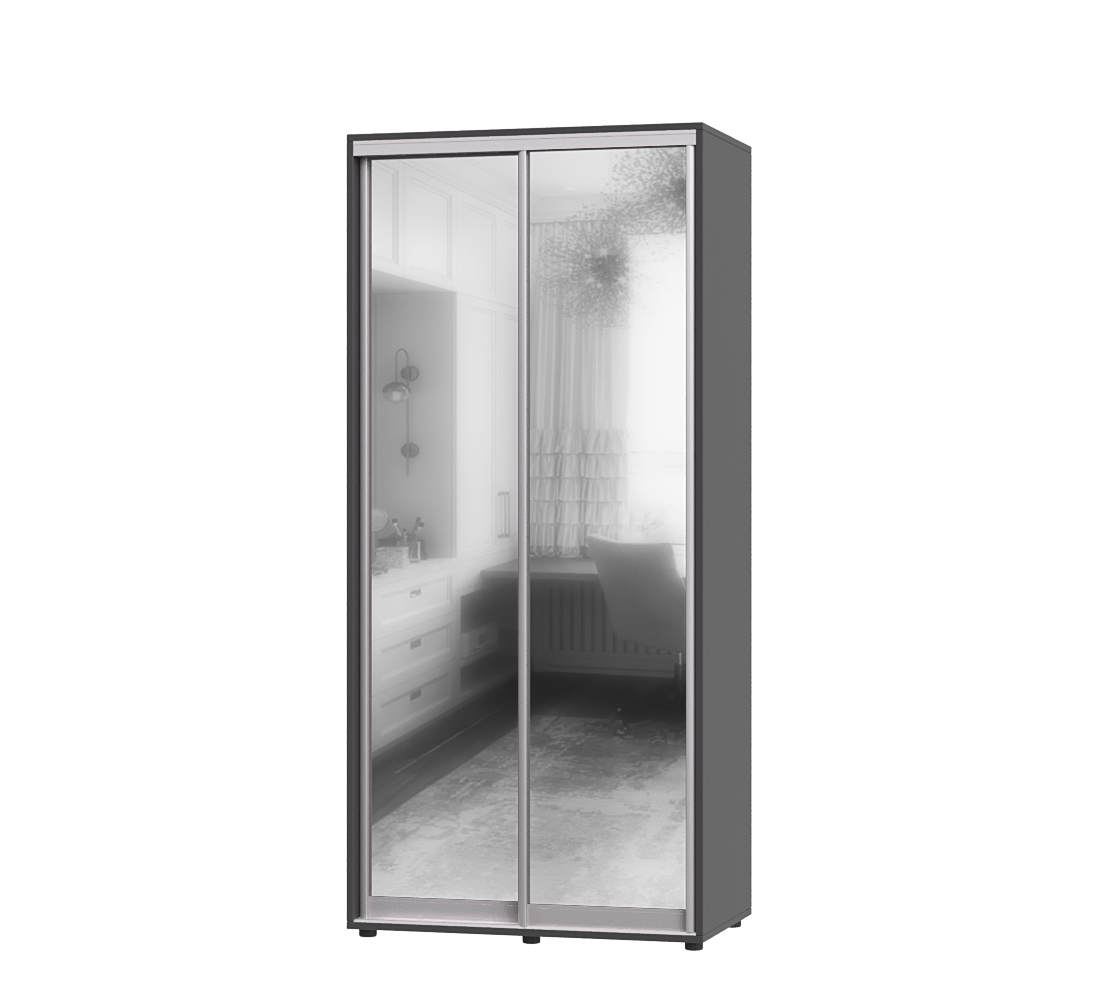 Шафа-купе з двома дверима Еверест ШК-01 100х60х220 см Антрацит (06824)