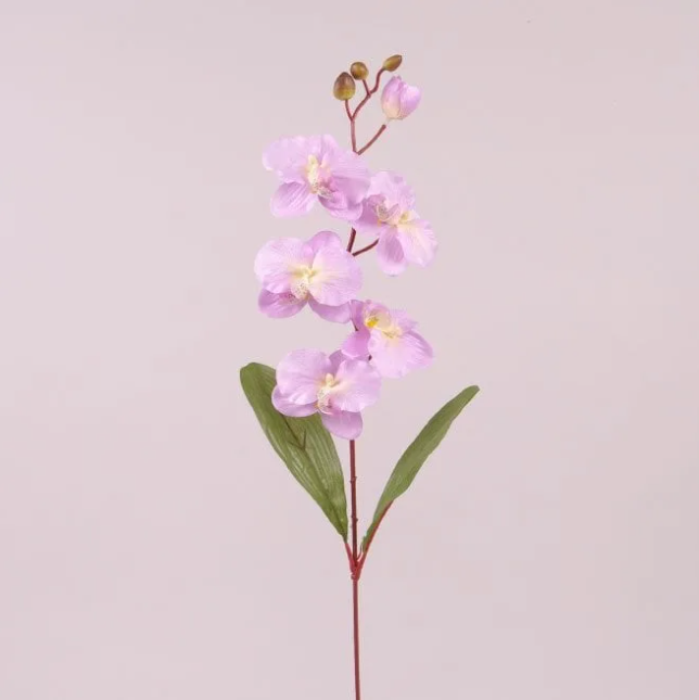 Квітка Фаленопсис Flora Світло-фіолетовий (73019)