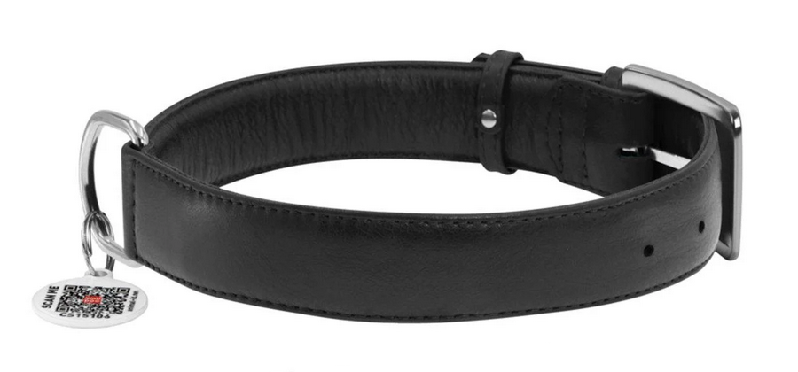 Ошейник для собак кожаный WAUDOG Glamour с QR паспортом без украшений XL 35 мм 46-60 см Черный (Collar33221)