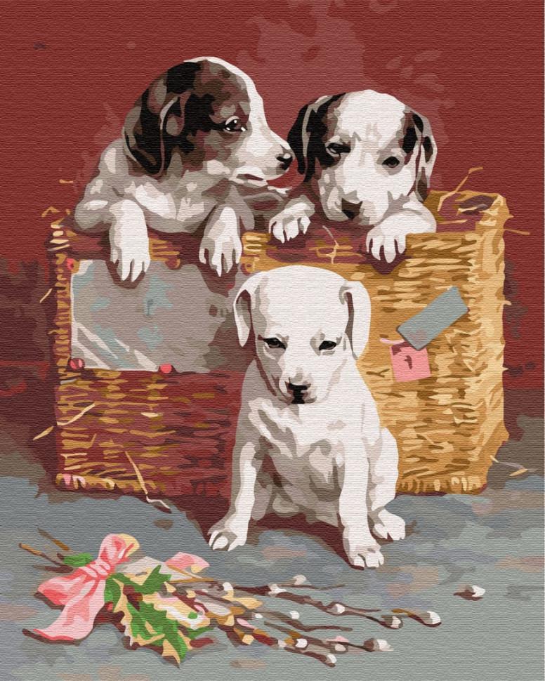 Картина по номерам Brushme Щеночки в корзине (GX8384)