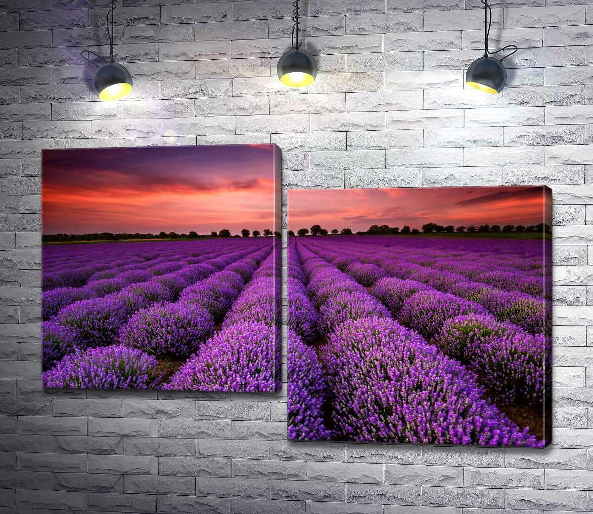 Модульная картина ArtPoster Яскраве лавандове поле в освітленні рожевих переливів вечірнього неба 100x65 см Модуль №5 (000220)