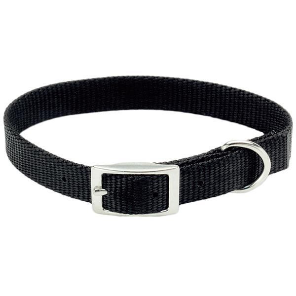 Ошейник для собак Coastal Nylon Web 1х25 см Черный
