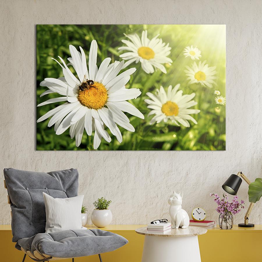 Картина на холсте Солнечные ромашки 51x34 см (229-1)