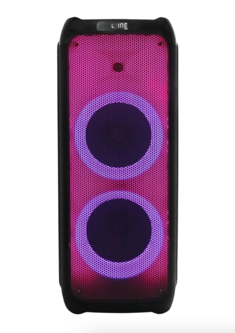 Колонка аккумуляторная ProAudio 210-08 с 2 микрофонами Колонка аккумуляторная ProAudio 210-08 с 2 микрофонами