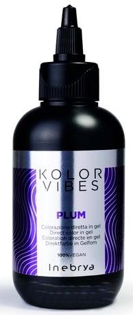 Окрашивающий гель для волос Inebrya Kolor Vibes Direct Color in Gel Plum Сливовый 150 мл