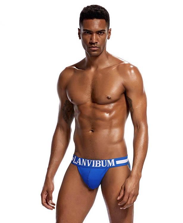 Трусы Lanvibum M Синий (4520)