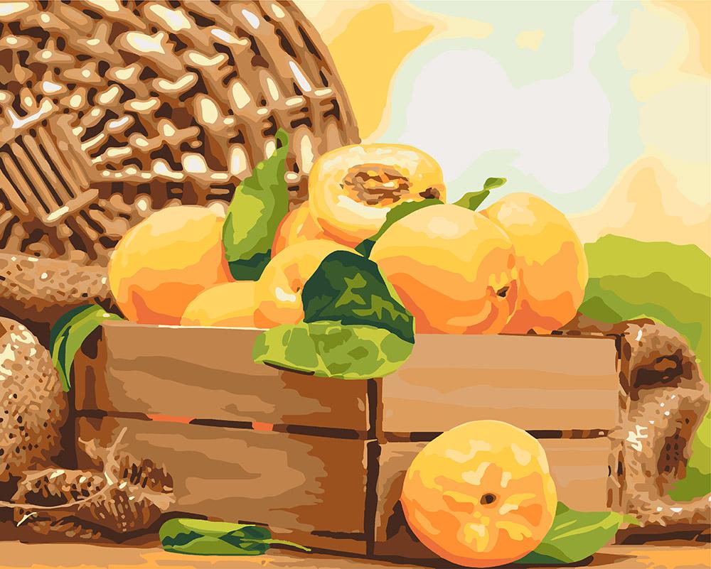 Картина по номерам Идейка "Золотистый абрикос" 40х50 см (KH5565)