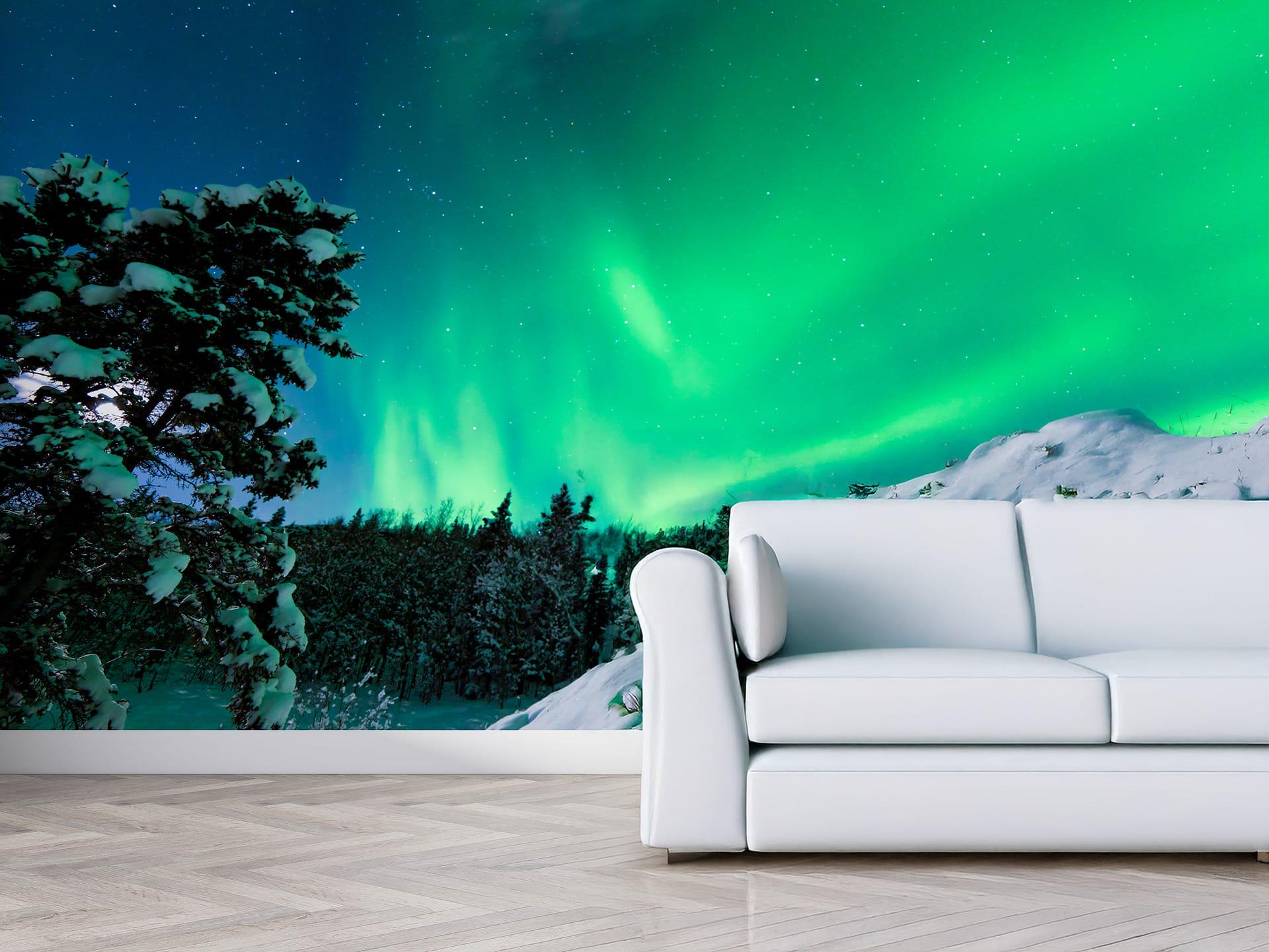 Фотообои флизелиновые Styleo Print-walls Северное сияние 0279 300х200 см (Pw-0279) Фотообои флизелиновые Styleo Print-walls Северное сияние 0279 300х200 см (Pw-0279)