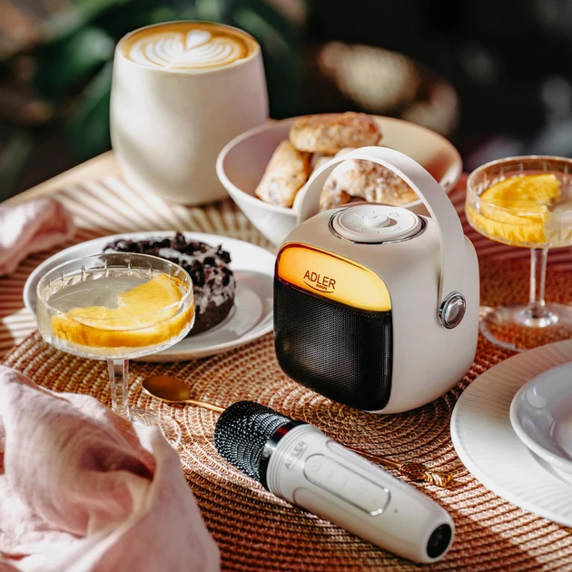 Набор для караоке Adler AD 1199 SD/USB/AUX/Bluetooth White (5905575902382) - фото 8 Набор для караоке Adler AD 1199 SD/USB/AUX/Bluetooth White (5905575902382) - фото 8