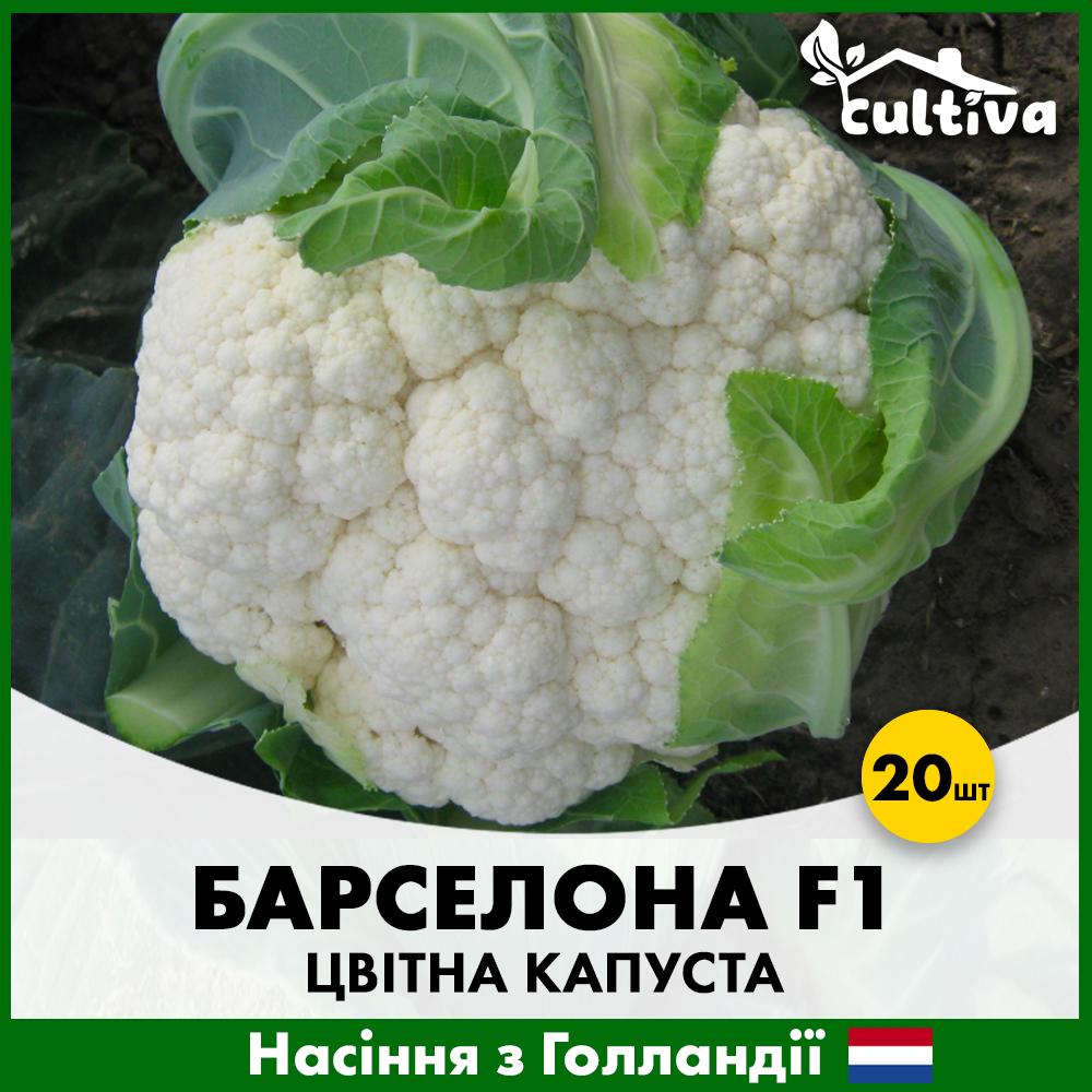 Семена цветной капусты Hazera Барселона F1 20 шт. (0016020)