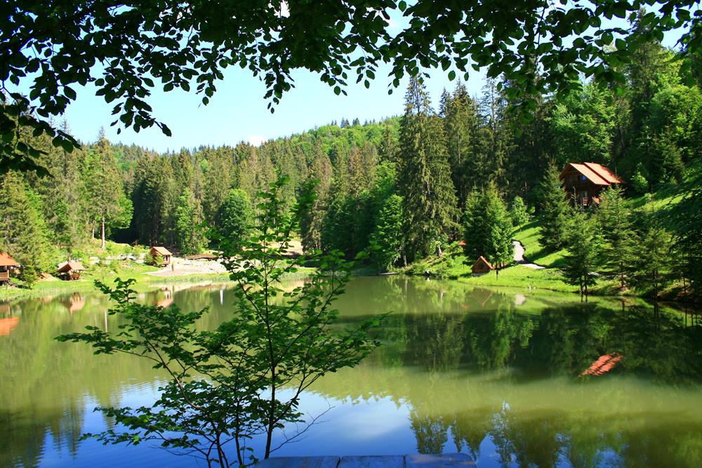 Картина Природа PR204 35х55 см
