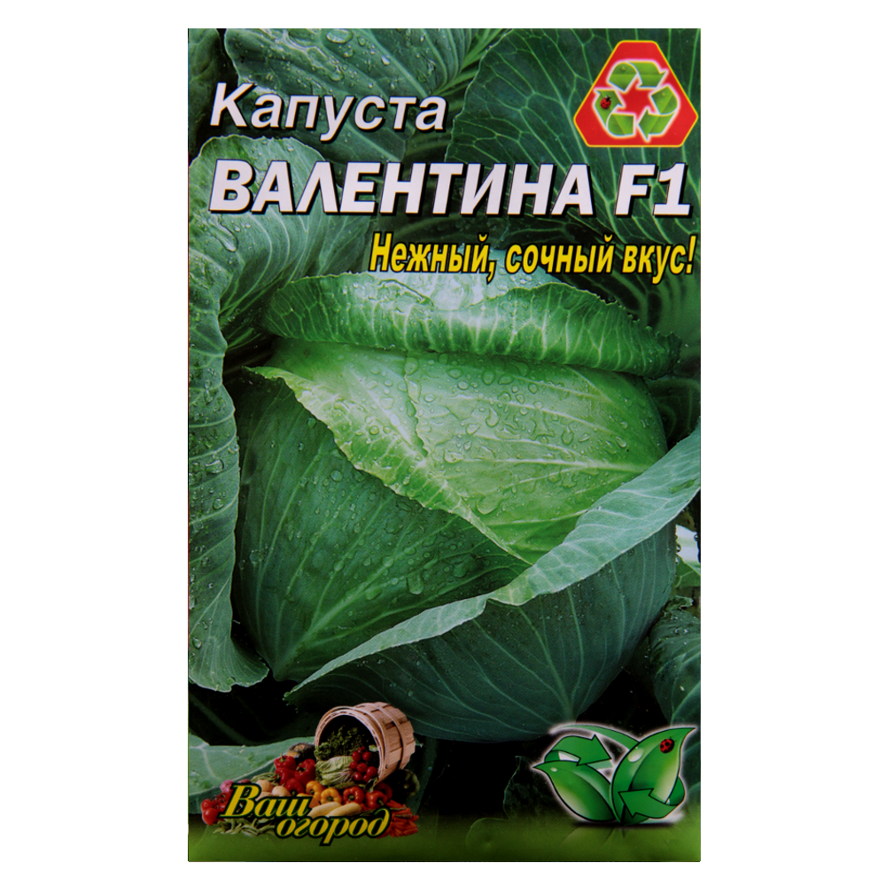 Насіння капусти Валентина F1 пізня 5 г (24111)