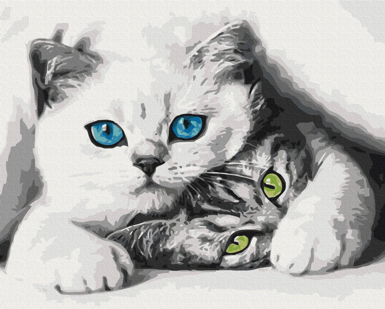 Картина по номерам Brushme Муркотики 40x50 см (BS51695)