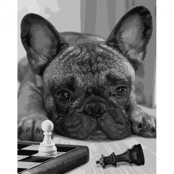 Набор для росписи по номерам Идейка Лучший Игрок 40х50 см (КНО4176-mt)