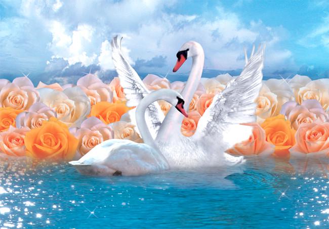 Фотошпалери на паперовій основі Ніка Одкровення 9Л 146х210 см (2000000453958)