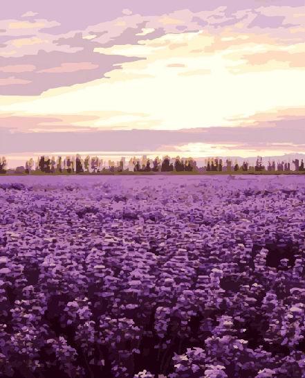 Картина по номерам Brushme Лавандовое поле (GX7942)