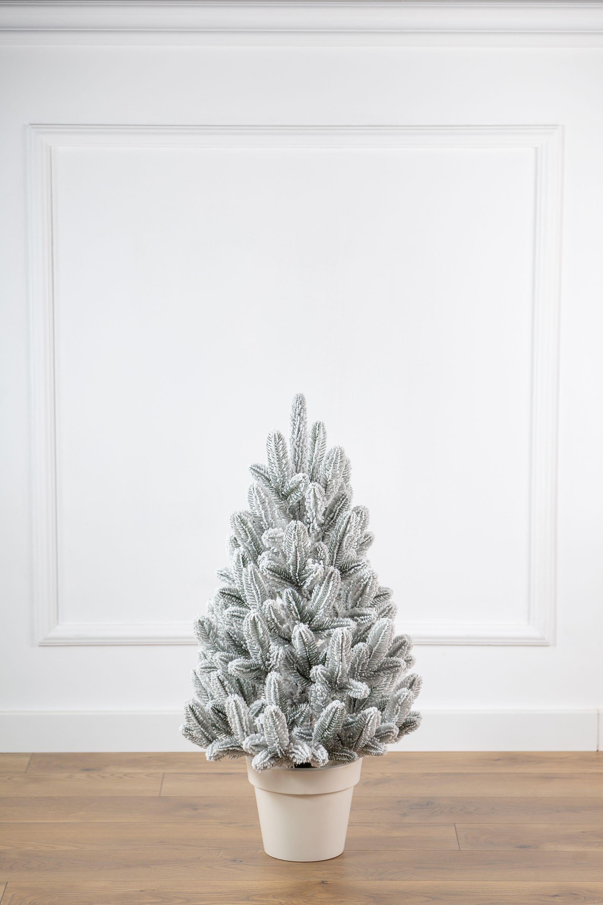 Ялинка лита Лапландська засніжена 70 см у горщику (2911180024657)