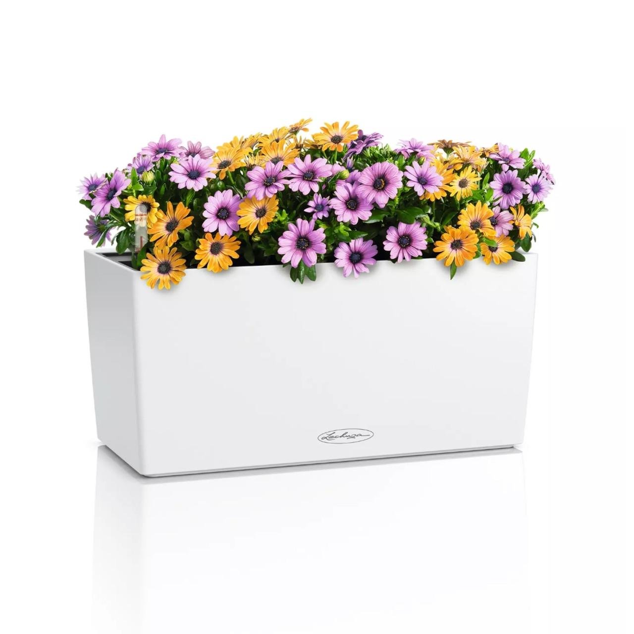 Вазон Lechuza BALCONERA Color 40 Белый (A-022737)