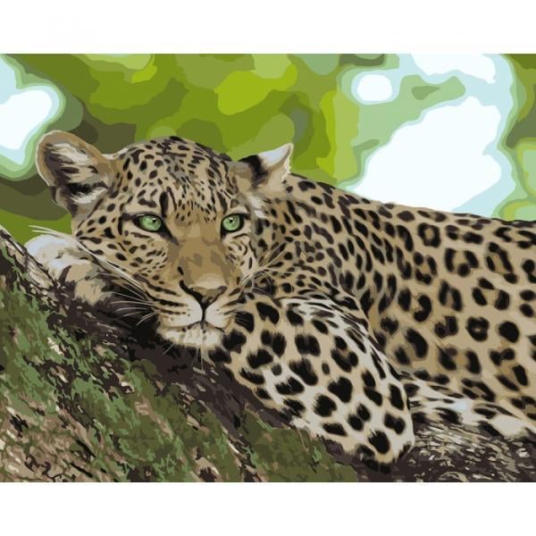 Набор для росписи по номерам Идейка Отдых Хищник 40х50 см (КНО4175-mt)