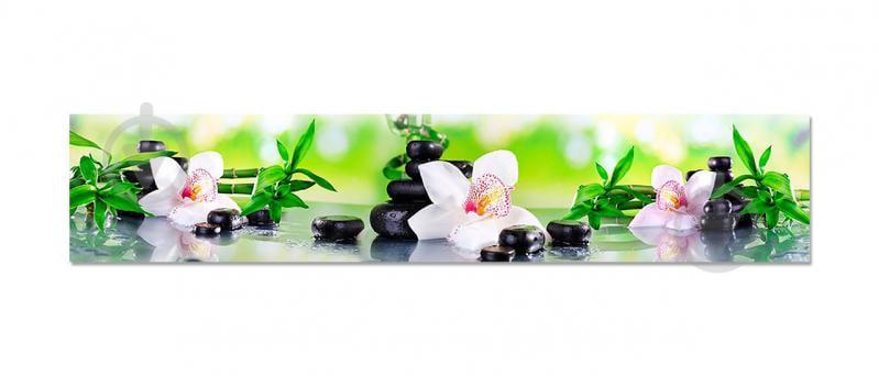 Наклейки кухонный фартук  Zatarga  "Орхидея и бамбук " 600х3000 мм Салатвый (Z180140/2)