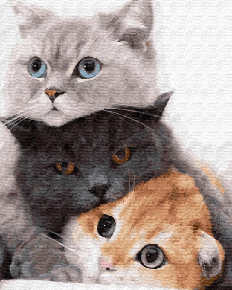 Картина по номерам Brushme Котики - муркотики (GX34826)
