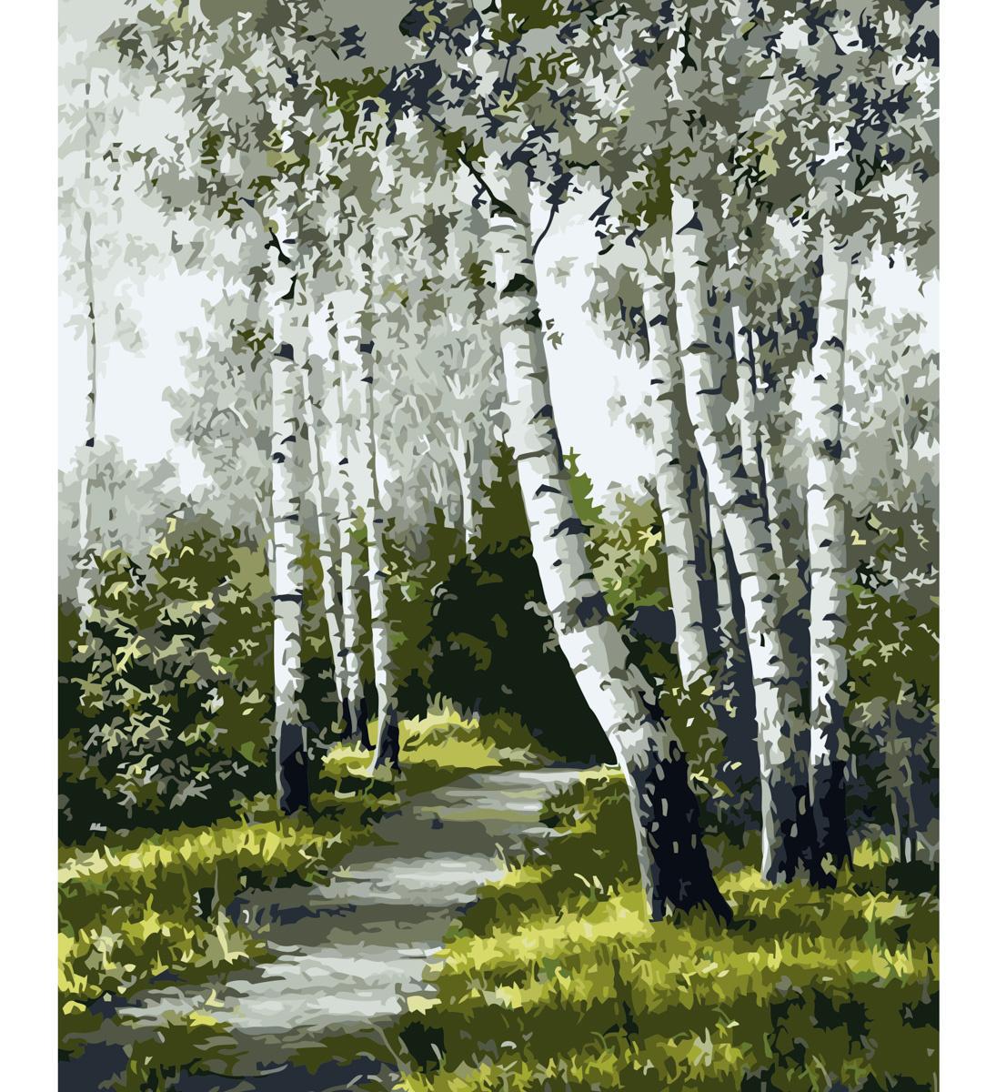 Картина по номерам Strateg Тропка среди берез 40x50 см (VA-0880)