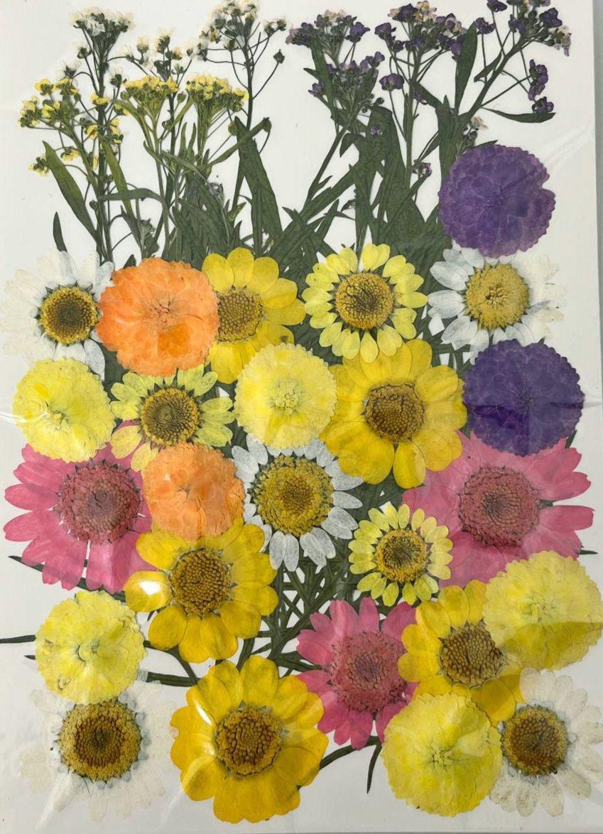 Сухоцвет набор №3 для творчества для ювелирных изделий из эпоксидной смолы 40 шт. (С-032/3)