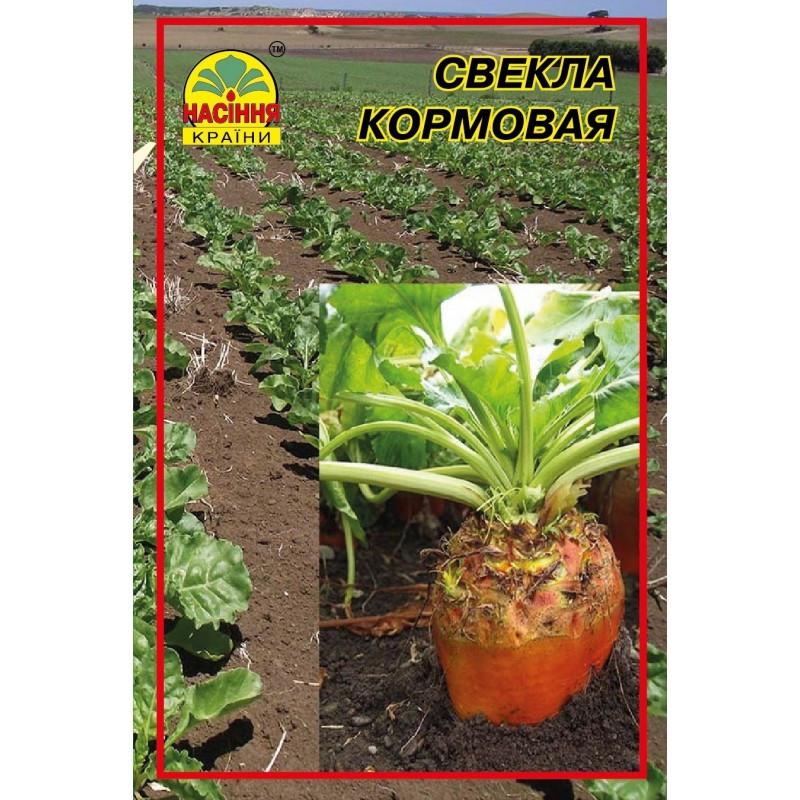 Семена свеклы Насіння країни Рекорд поли кормовой 20 г (1137298877) Семена свеклы Насіння країни Рекорд поли кормовой 20 г (1137298877)